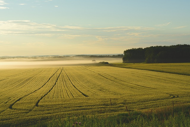 image from Agricultural Landscape of Southern Land