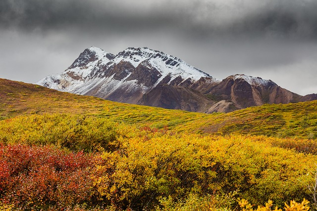 image from Mt. McKinley, Alaska