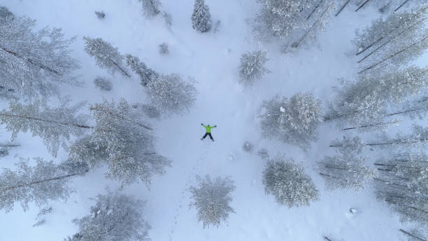 image from Angel Of The North