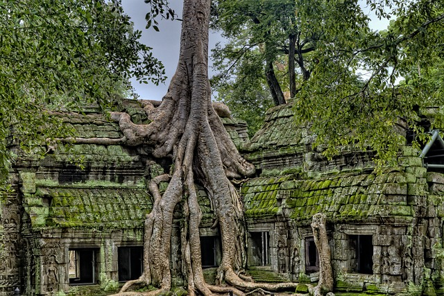 image from Angkor Wat Cambodia Nature Spots