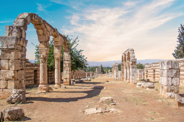 image from Anjar