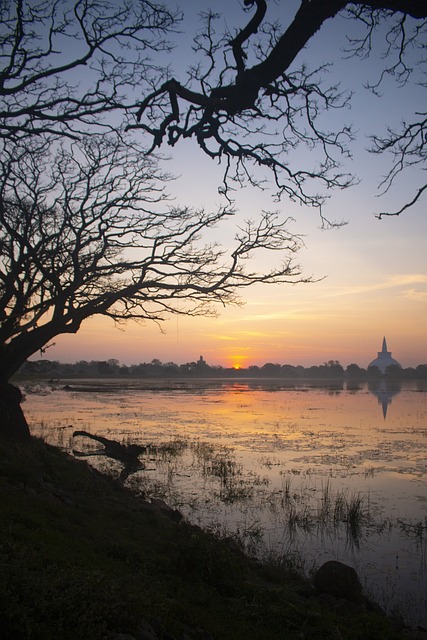 image from Bus Tours Anuradhapura