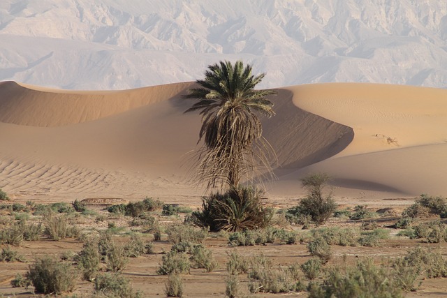 image from Bus Tours Aqaba