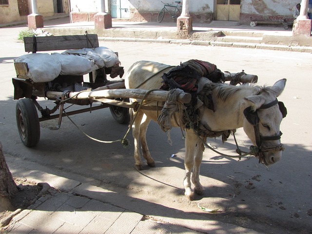 image from Asmara a Modernist African City