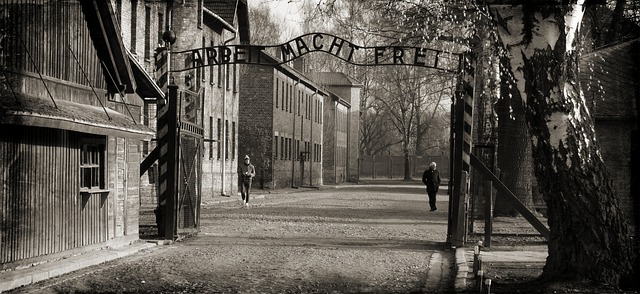 image from Auschwitz