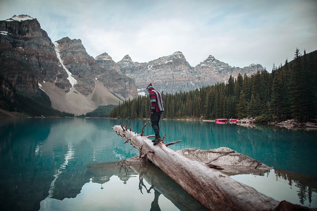 image from Bus Tours Banff