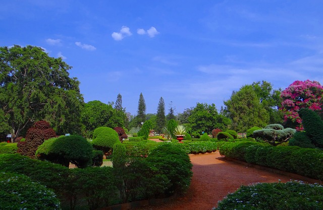 image from Bangalore India Nature Spots