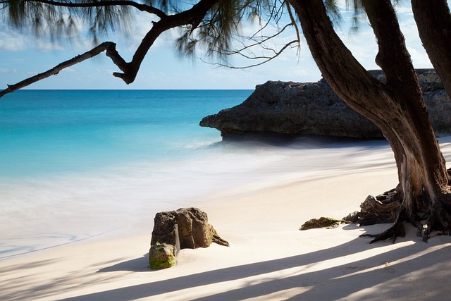 image from Sightseeing Barbados