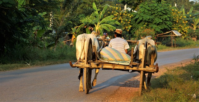 image from Walking Tours Battambang