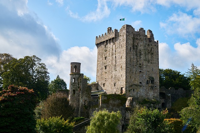 image from Blarney Stone Cork