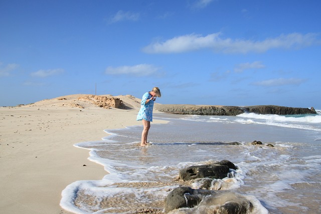 image from Workshops Boa Vista Island