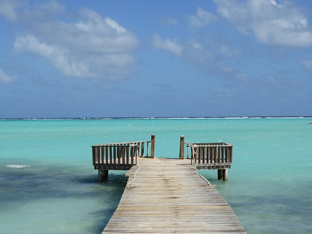 image from Bus Tours Bonaire