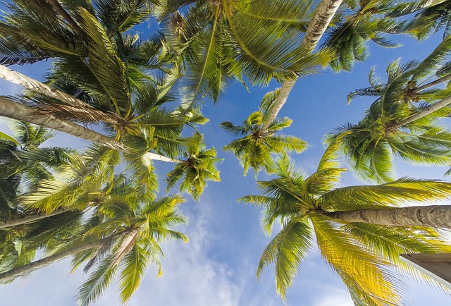 image from Group Activities Boracay