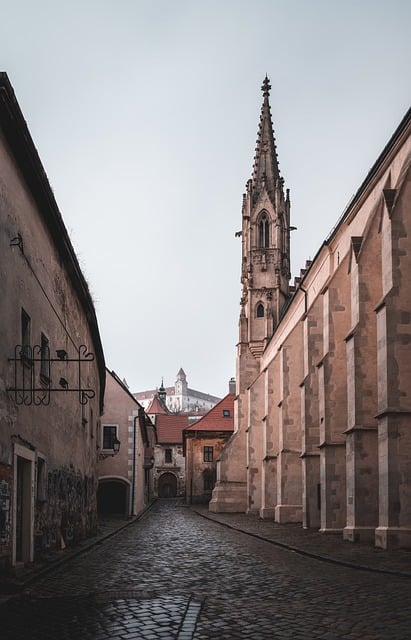 image from Bratislava Boat Tours