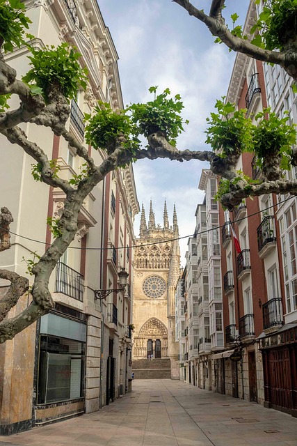 image from Burgos Cathedral