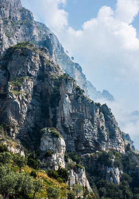 image from Campania Boat Tours