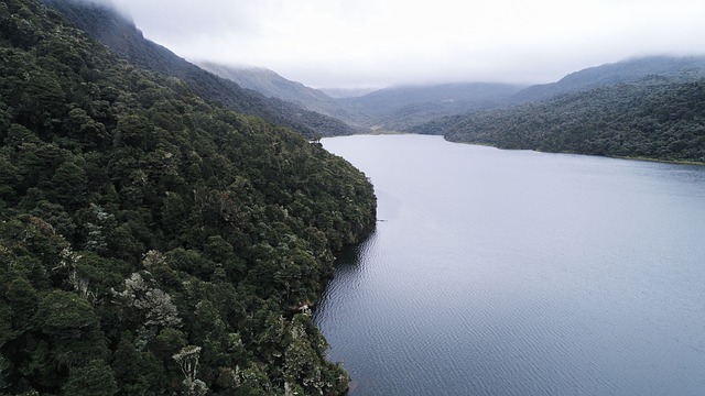 image from Couple Activities Cayambe