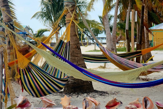 image from Sightseeing Caye Caulker