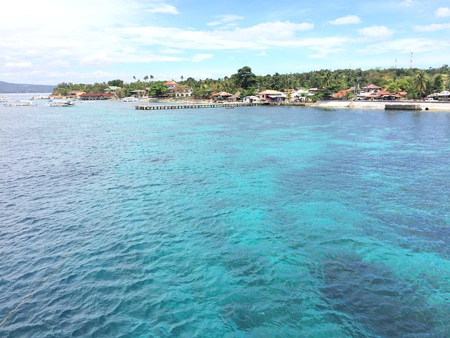 image from Cebu City Boat Tours