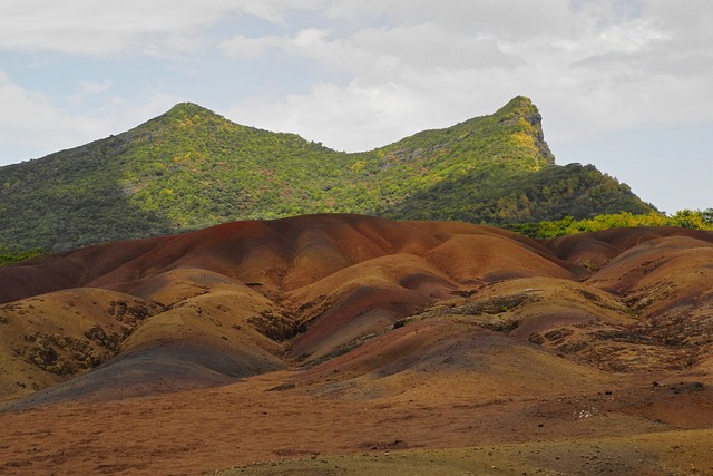 image from Animal activities Chamarel