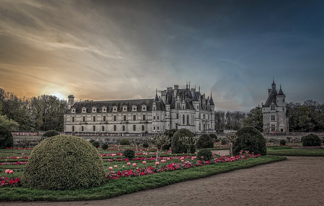 image from Chenonceau