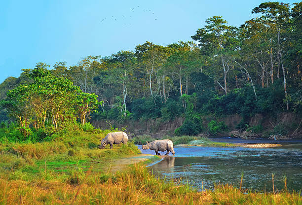 image from Chitwan National Park