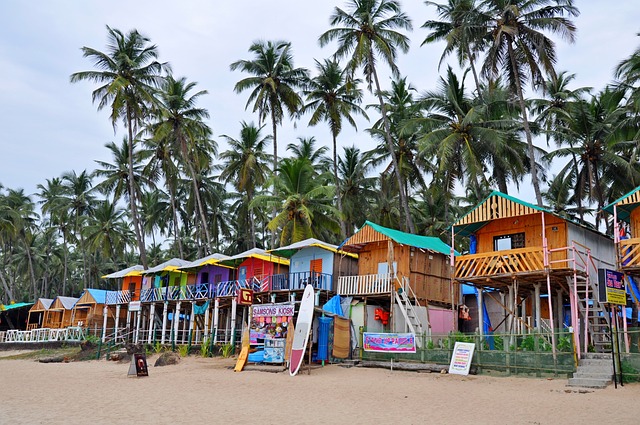 image from Churches and Convents of Goa