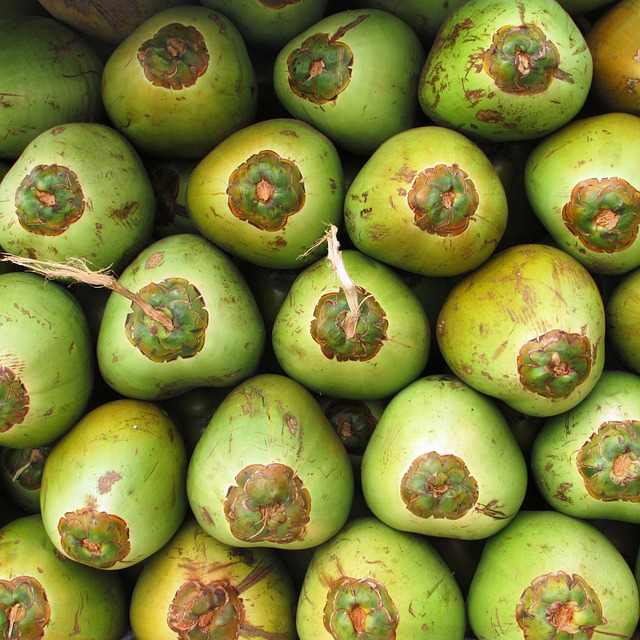 image from Cocos Keeling Islands 2 Day Itinerary