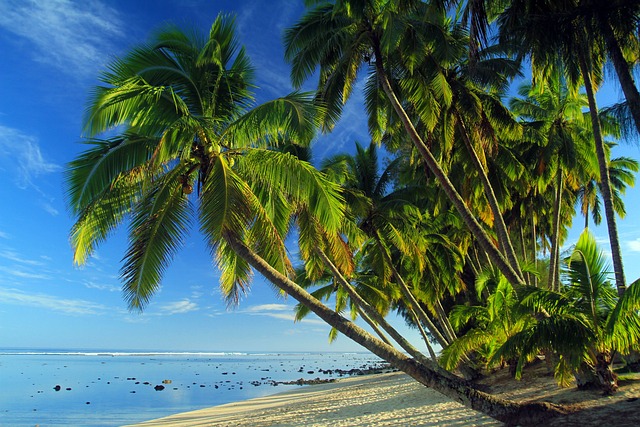 image from Cook Islands 2 Day Itinerary