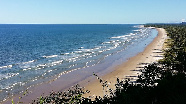 image from Dine on Fresh Seafood at a Beachfront Restaurant in Bahia Brazil