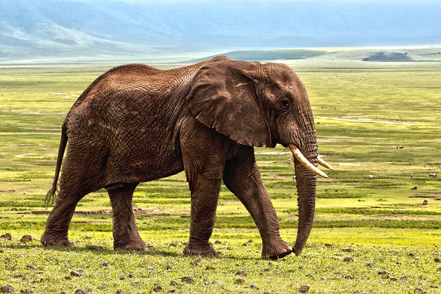 image from Srebarna Nature Reserve