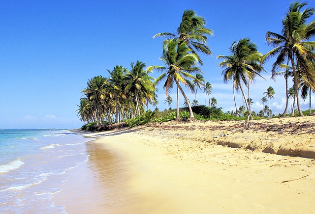 image from Workshops Dominican Republic