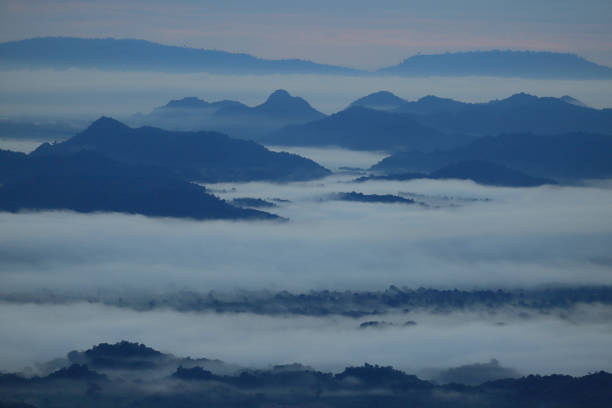 image from Dong Phayayen Khao Yai Forest Complex