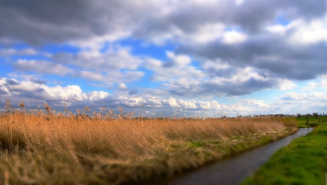 image from Droogmakerij De Beemster Beemster Polder 