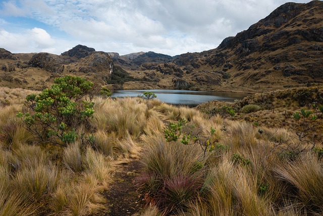 image from Multi Day Trips Ecuador