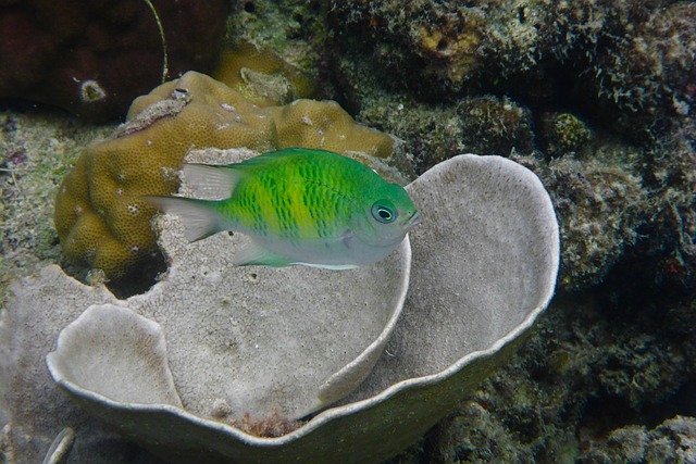 image from Multi Day Trips El Nido