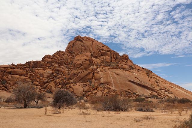 image from Bus Tours Erongo