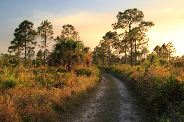 image from Everglades National Park