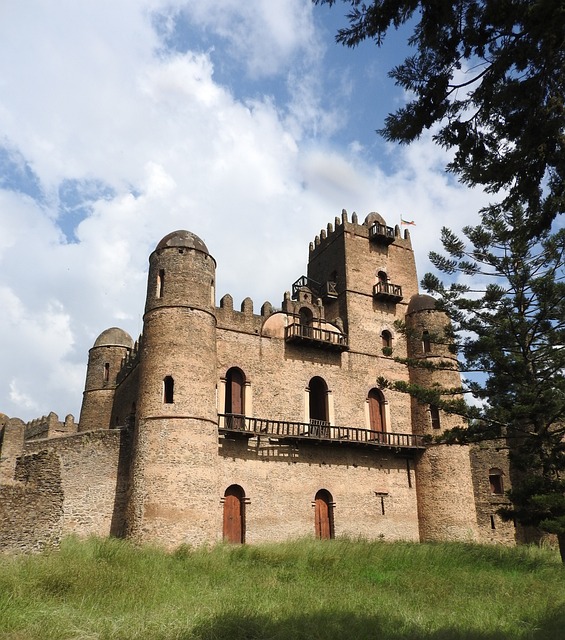 image from Fasil Ghebbi, Gondar Region