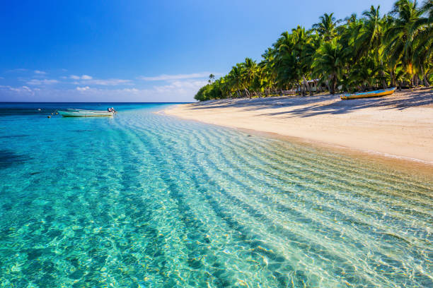 image from Fiji