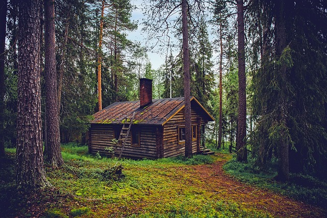 image from Finland 4 Day Itinerary