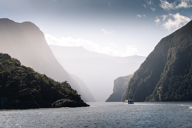 image from Walking Tours Fiordland