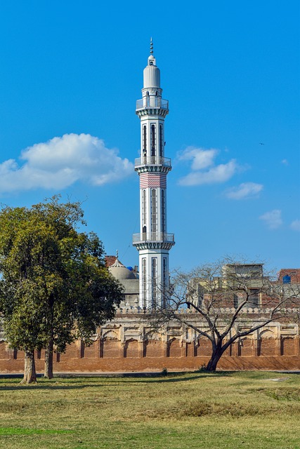 image from Fort And Shalimar Gardens, Lahore, Pakistan