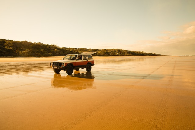 image from Fraser Island, Queensland