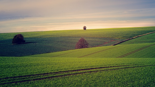 image from French Austral Lands and Seas