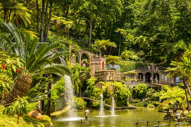 image from Funchal Madeira Hiking Areas