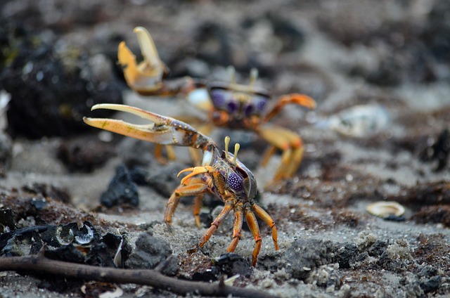 image from Gabon 4 Day Itinerary