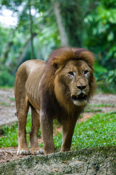 image from Garamba National Park