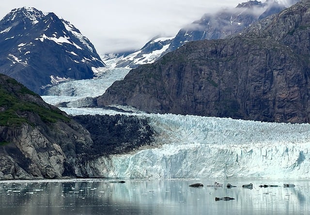 image from Glacier Bay Basin