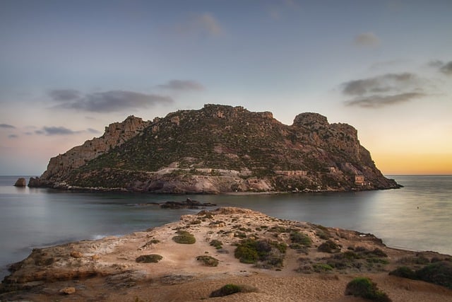 image from Gough and Inaccessible Islands